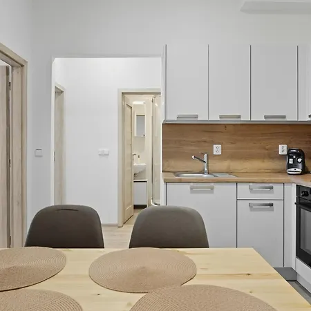 Family With Kitchen Near The Subway * プラハ